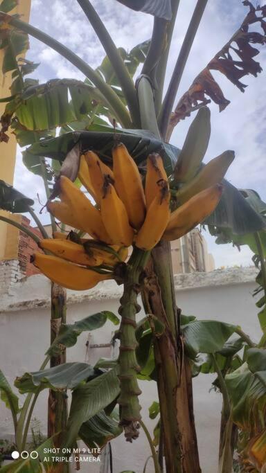4 - Acogedora Habitacion Junto A Ruzafa Con Bano Privado Y Aire Acondicionado 瓦伦西亚 外观 照片
